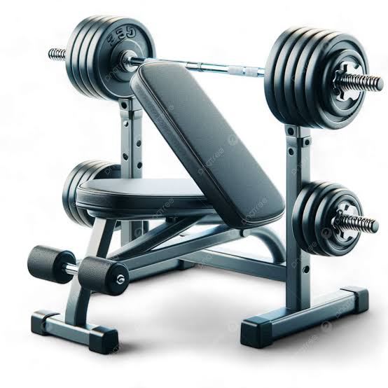 Gym & Fitness