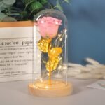 Valentines Day Gift  For Girlfriend Eternal Rose Flowers LED Light In Glass Cover Day Wedding Decoration Favors Mother Day Female Gift  Gift - Image 8