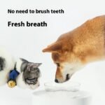 Pet Mouthwash Care Healthy Teeth - Image 4