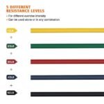 Bodybuilding Resistance Bands Set - Image 3